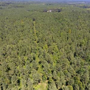 Photo of UNDER CONTRACT!  51.44 Acres of Hunting and Timber Land For Sale in Halifax County NC!