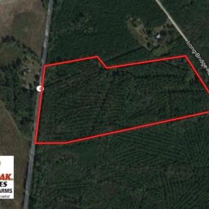 Photo of UNDER CONTRACT!  51.44 Acres of Hunting and Timber Land For Sale in Halifax County NC!