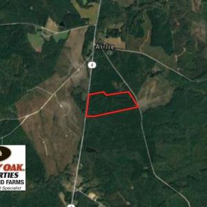 Photo of UNDER CONTRACT!  51.44 Acres of Hunting and Timber Land For Sale in Halifax County NC!
