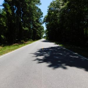 Photo of UNDER CONTRACT!  51.44 Acres of Hunting and Timber Land For Sale in Halifax County NC!