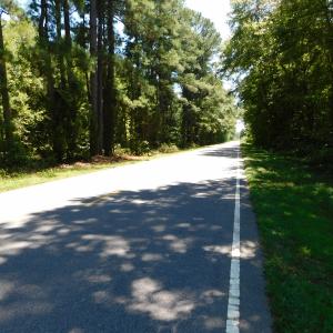 Photo of UNDER CONTRACT!  51.44 Acres of Hunting and Timber Land For Sale in Halifax County NC!