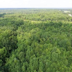 Photo of UNDER CONTRACT!  17 Acres of Hunting and Recreational Land For Sale in Lunenburg County VA!