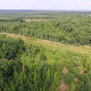 Photo of UNDER CONTRACT!  17 Acres of Hunting and Recreational Land For Sale in Lunenburg County VA!