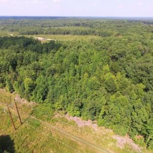 Photo of UNDER CONTRACT!  17 Acres of Hunting and Recreational Land For Sale in Lunenburg County VA!