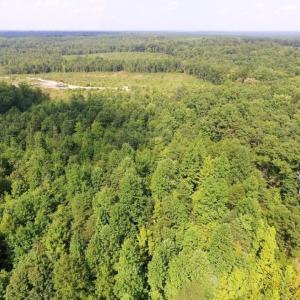 Photo of UNDER CONTRACT!  17 Acres of Hunting and Recreational Land For Sale in Lunenburg County VA!