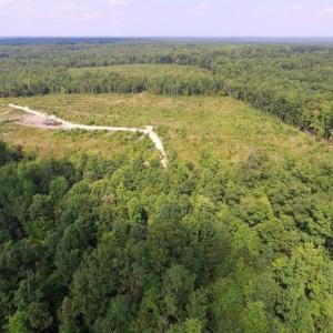 Photo of UNDER CONTRACT!  17 Acres of Hunting and Recreational Land For Sale in Lunenburg County VA!