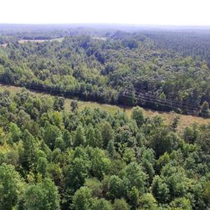 Photo of UNDER CONTRACT!  17 Acres of Hunting and Recreational Land For Sale in Lunenburg County VA!