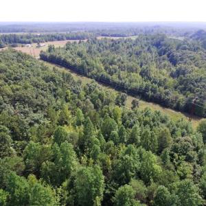 Photo of UNDER CONTRACT!  17 Acres of Hunting and Recreational Land For Sale in Lunenburg County VA!