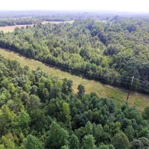 Photo of UNDER CONTRACT!  17 Acres of Hunting and Recreational Land For Sale in Lunenburg County VA!