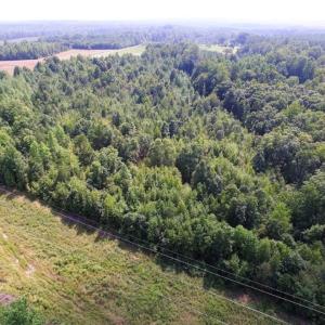 Photo of UNDER CONTRACT!  17 Acres of Hunting and Recreational Land For Sale in Lunenburg County VA!