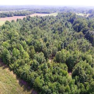 Photo of UNDER CONTRACT!  17 Acres of Hunting and Recreational Land For Sale in Lunenburg County VA!