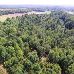 Photo of UNDER CONTRACT!  17 Acres of Hunting and Recreational Land For Sale in Lunenburg County VA!