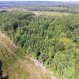 Photo of UNDER CONTRACT!  17 Acres of Hunting and Recreational Land For Sale in Lunenburg County VA!