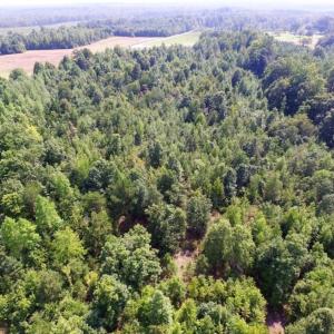 Photo of UNDER CONTRACT!  17 Acres of Hunting and Recreational Land For Sale in Lunenburg County VA!
