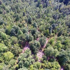 Photo of UNDER CONTRACT!  17 Acres of Hunting and Recreational Land For Sale in Lunenburg County VA!