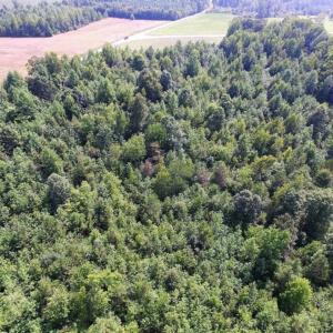Photo of UNDER CONTRACT!  17 Acres of Hunting and Recreational Land For Sale in Lunenburg County VA!