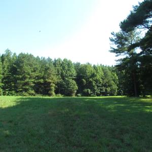 Photo of UNDER CONTRACT!  10 Acres of Residential Timberland Land with Home in Brunswick County VA!