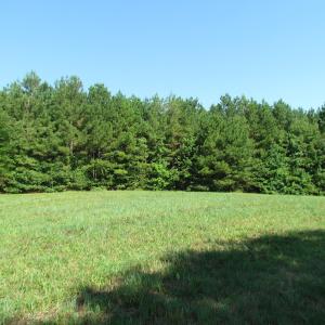 Photo of UNDER CONTRACT!  10 Acres of Residential Timberland Land with Home in Brunswick County VA!