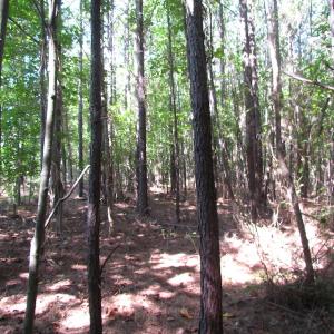 Photo of UNDER CONTRACT!  10 Acres of Residential Timberland Land with Home in Brunswick County VA!