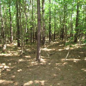 Photo of UNDER CONTRACT!  10 Acres of Residential Timberland Land with Home in Brunswick County VA!