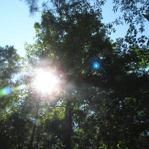 Photo of UNDER CONTRACT!  10 Acres of Residential Timberland Land with Home in Brunswick County VA!