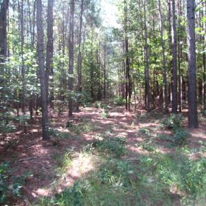 Photo of UNDER CONTRACT!  10 Acres of Residential Timberland Land with Home in Brunswick County VA!