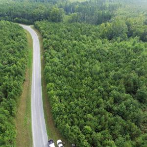 Photo of UNDER CONTRACT!  33.75 Acres of Hunting and Recreational Land For Sale in Brunswick County VA!