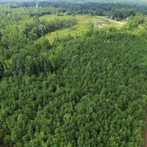 Photo of UNDER CONTRACT!  33.75 Acres of Hunting and Recreational Land For Sale in Brunswick County VA!