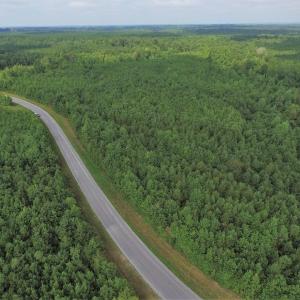 Photo of UNDER CONTRACT!  33.75 Acres of Hunting and Recreational Land For Sale in Brunswick County VA!