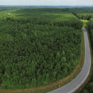 Photo of UNDER CONTRACT!  33.75 Acres of Hunting and Recreational Land For Sale in Brunswick County VA!