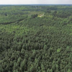 Photo of UNDER CONTRACT!  33.75 Acres of Hunting and Recreational Land For Sale in Brunswick County VA!
