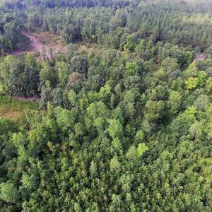 Photo of UNDER CONTRACT!  33.75 Acres of Hunting and Recreational Land For Sale in Brunswick County VA!