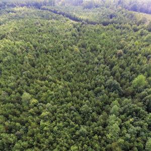 Photo of UNDER CONTRACT!  33.75 Acres of Hunting and Recreational Land For Sale in Brunswick County VA!