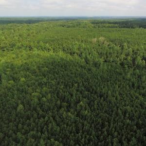 Photo of UNDER CONTRACT!  33.75 Acres of Hunting and Recreational Land For Sale in Brunswick County VA!