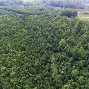 Photo of UNDER CONTRACT!  33.75 Acres of Hunting and Recreational Land For Sale in Brunswick County VA!