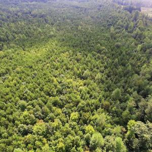 Photo of UNDER CONTRACT!  33.75 Acres of Hunting and Recreational Land For Sale in Brunswick County VA!