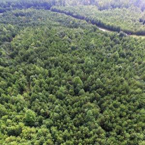 Photo of UNDER CONTRACT!  33.75 Acres of Hunting and Recreational Land For Sale in Brunswick County VA!