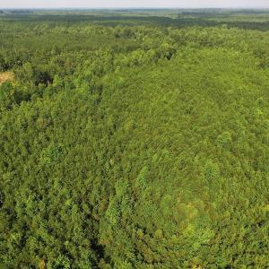 Photo of UNDER CONTRACT!  33.75 Acres of Hunting and Recreational Land For Sale in Brunswick County VA!