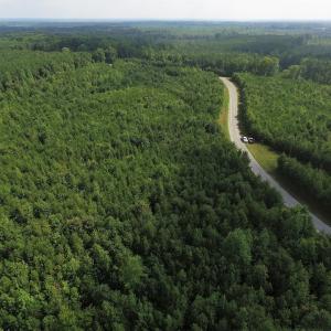 Photo of UNDER CONTRACT!  33.75 Acres of Hunting and Recreational Land For Sale in Brunswick County VA!
