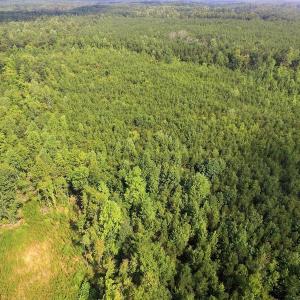 Photo of UNDER CONTRACT!  33.75 Acres of Hunting and Recreational Land For Sale in Brunswick County VA!