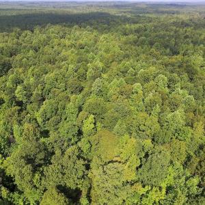 Photo of UNDER CONTRACT!  33.75 Acres of Hunting and Recreational Land For Sale in Brunswick County VA!