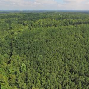Photo of UNDER CONTRACT!  33.75 Acres of Hunting and Recreational Land For Sale in Brunswick County VA!
