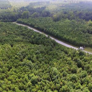 Photo of UNDER CONTRACT!  33.75 Acres of Hunting and Recreational Land For Sale in Brunswick County VA!