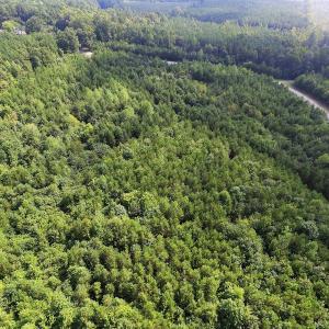 Photo of UNDER CONTRACT!  33.75 Acres of Hunting and Recreational Land For Sale in Brunswick County VA!