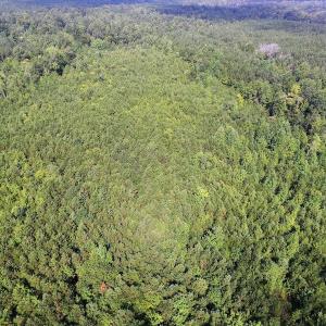Photo of UNDER CONTRACT!  33.75 Acres of Hunting and Recreational Land For Sale in Brunswick County VA!