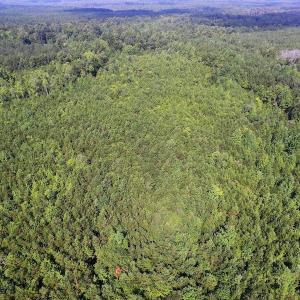 Photo of UNDER CONTRACT!  33.75 Acres of Hunting and Recreational Land For Sale in Brunswick County VA!