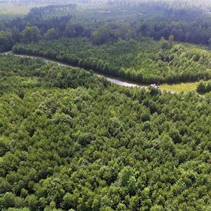 Photo of UNDER CONTRACT!  33.75 Acres of Hunting and Recreational Land For Sale in Brunswick County VA!