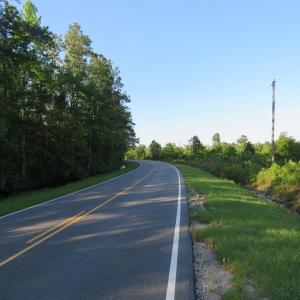 Photo of UNDER CONTRACT!  65 Acres of Hunting Land For Sale in Robeson County NC!