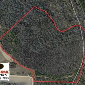 Photo of UNDER CONTRACT!  65 Acres of Hunting Land For Sale in Robeson County NC!