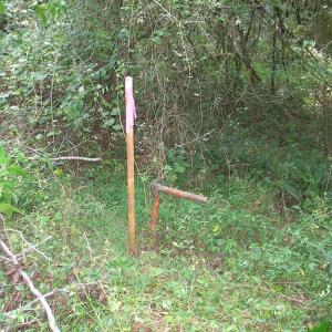 Photo of SOLD!  30.30 Acres of  Farm Land For Sale in Alamance County NC!
